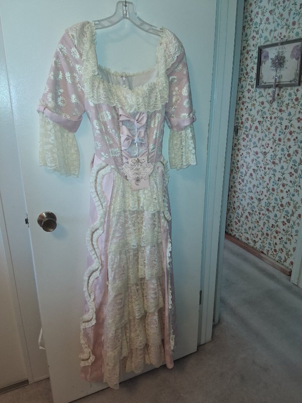 Pink Rococo Lace Fairytale Dress, M, NWT - Picture 11 of 15